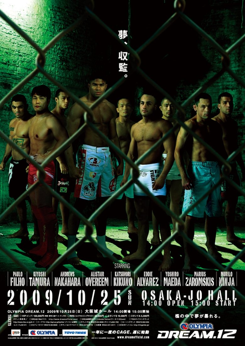 Poster of DREAM 12