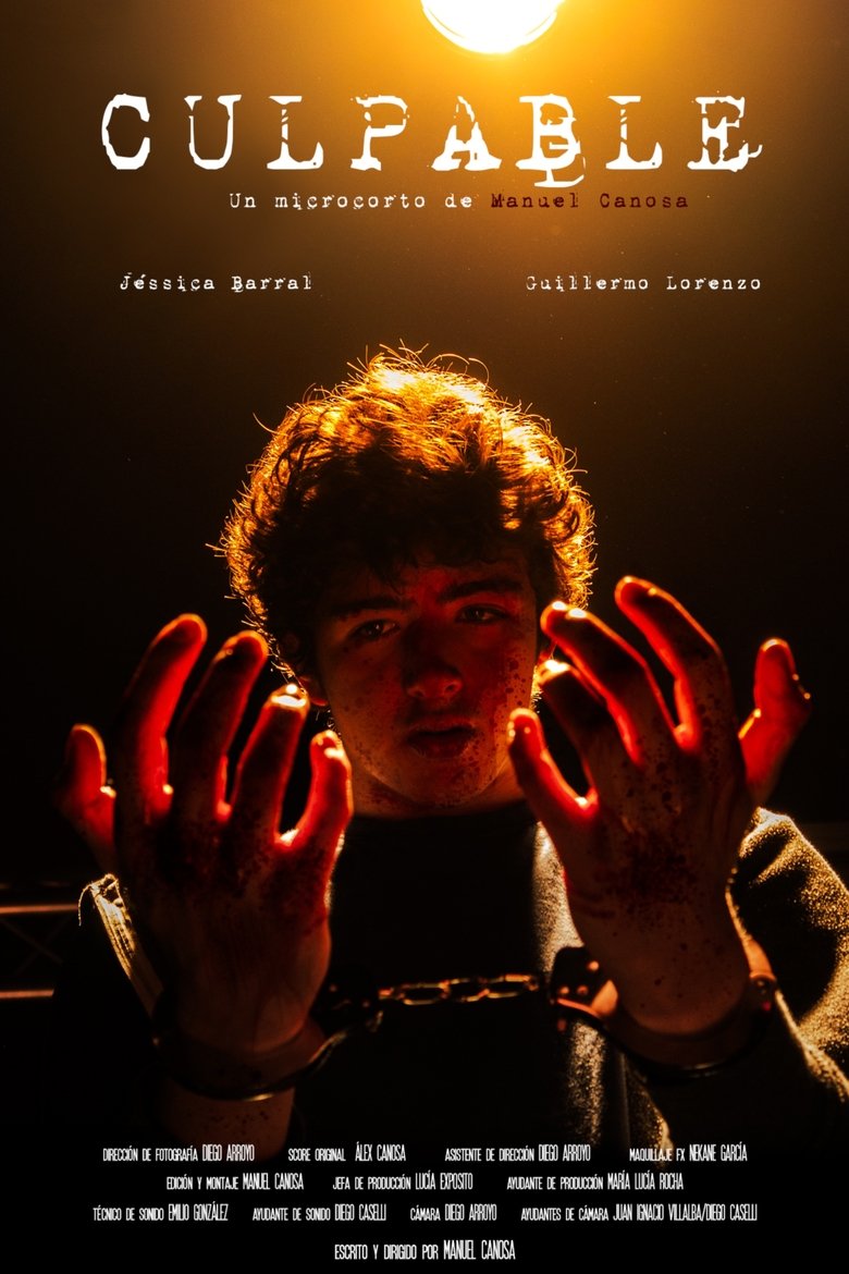 Poster of Culpable