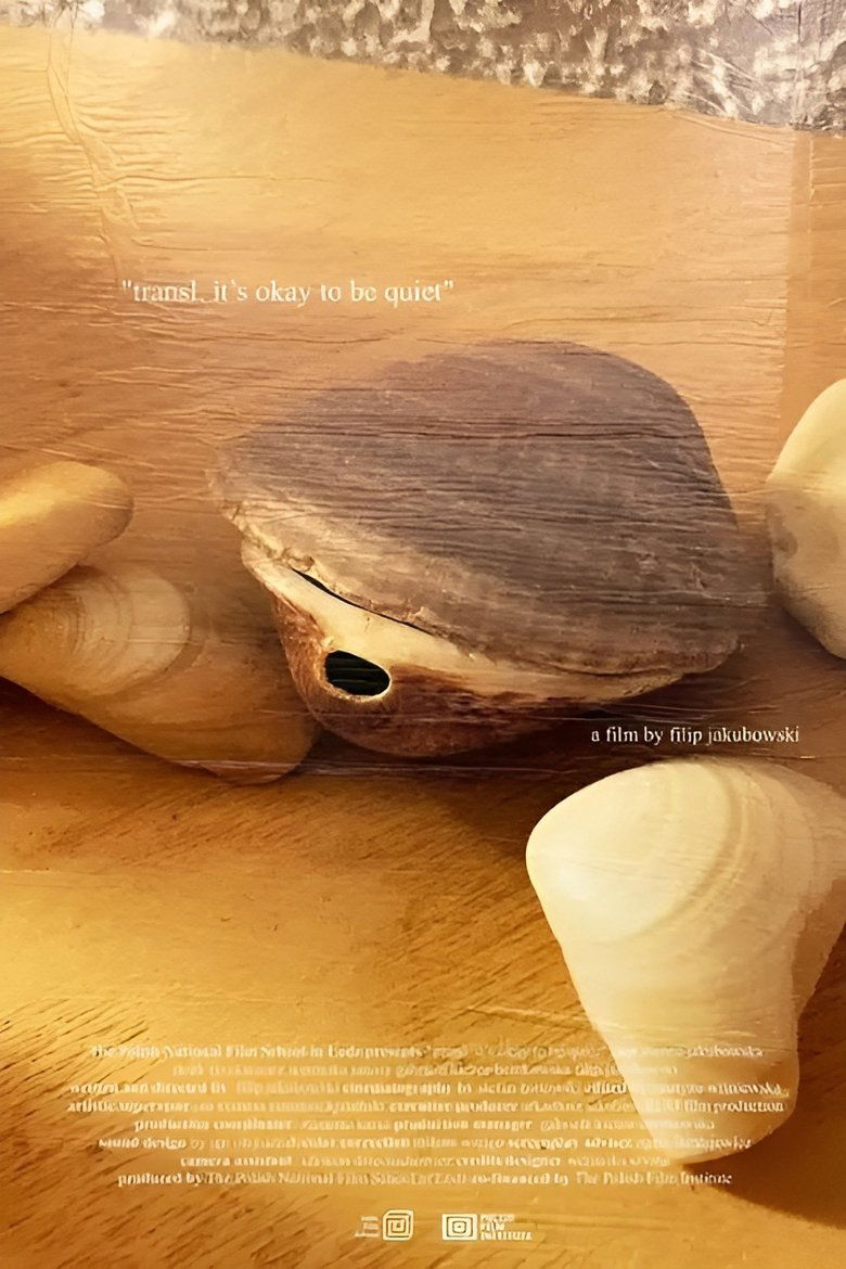 Poster of transl.  it’s okay to be quiet
