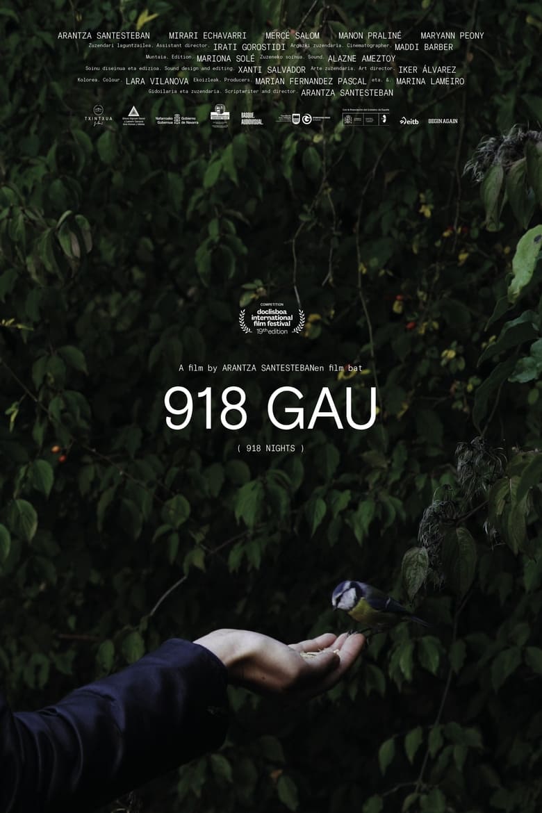 Poster of 918 Nights