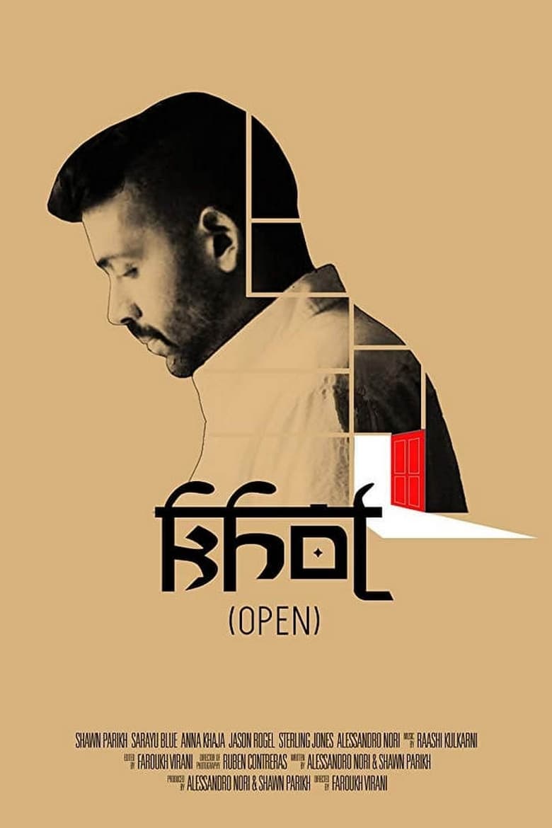 Poster of Open