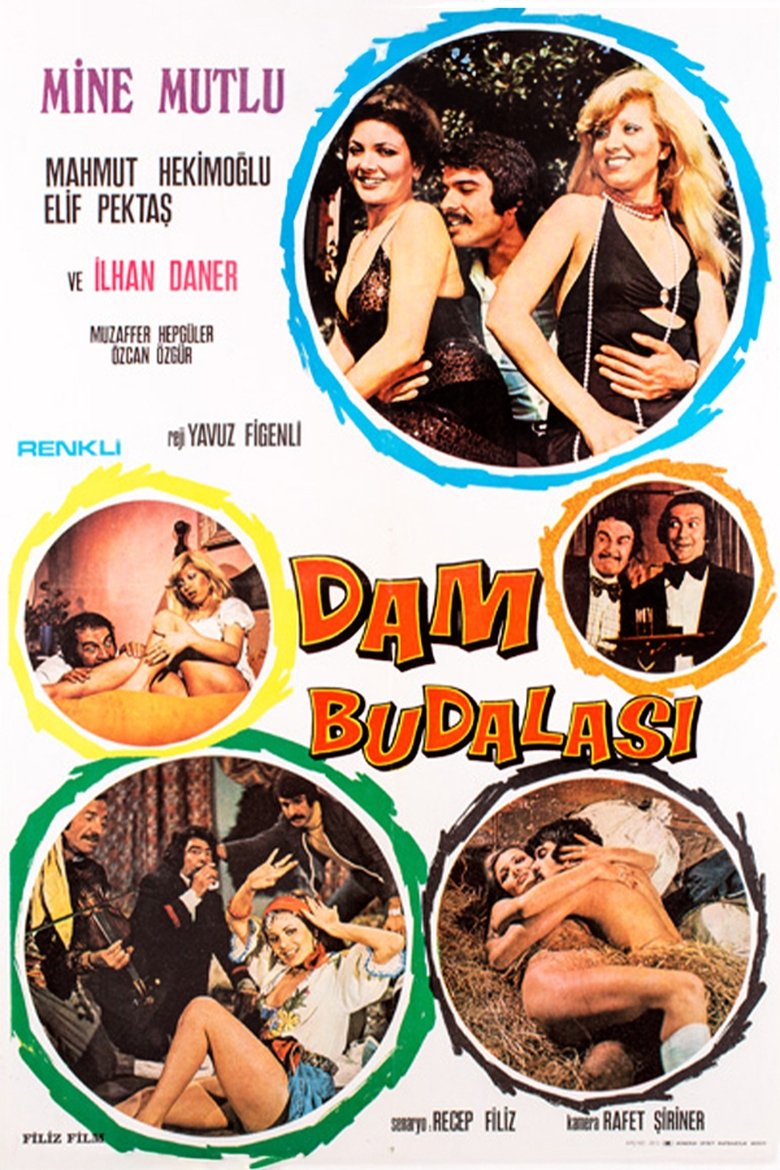 Poster of Dam Budalası