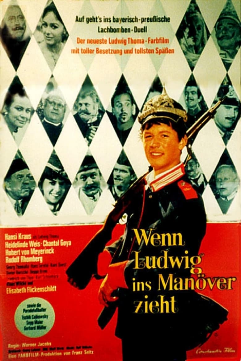 Poster of Wenn Ludwig ins Manöver zieht