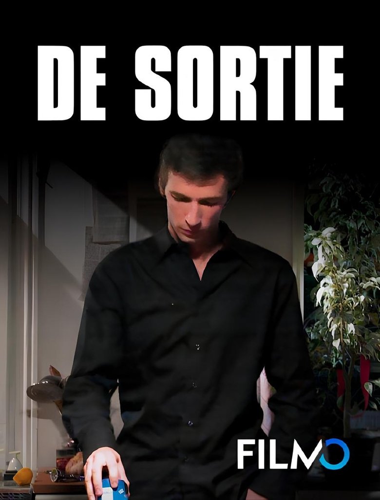 Poster of De sortie