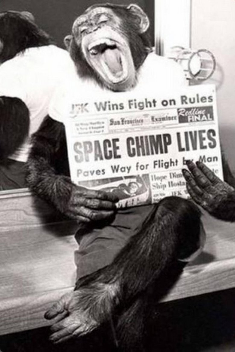 Poster of Spacechimp