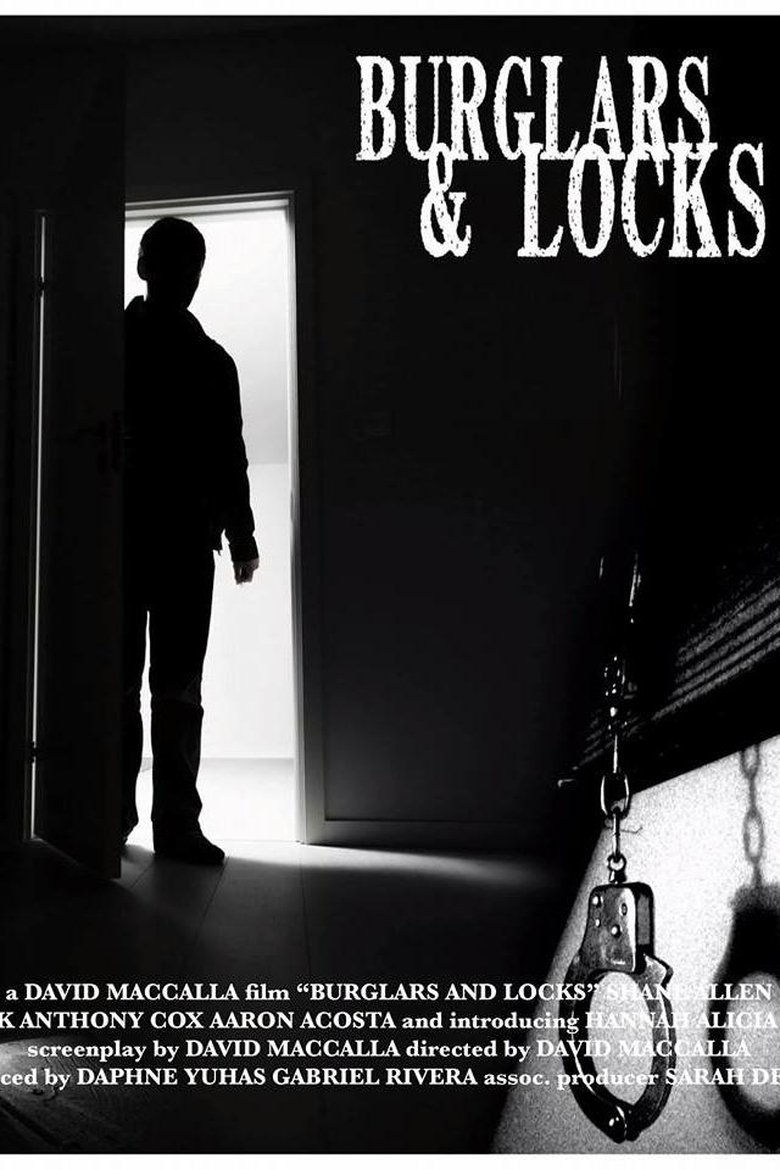 Poster of Burglars & Locks