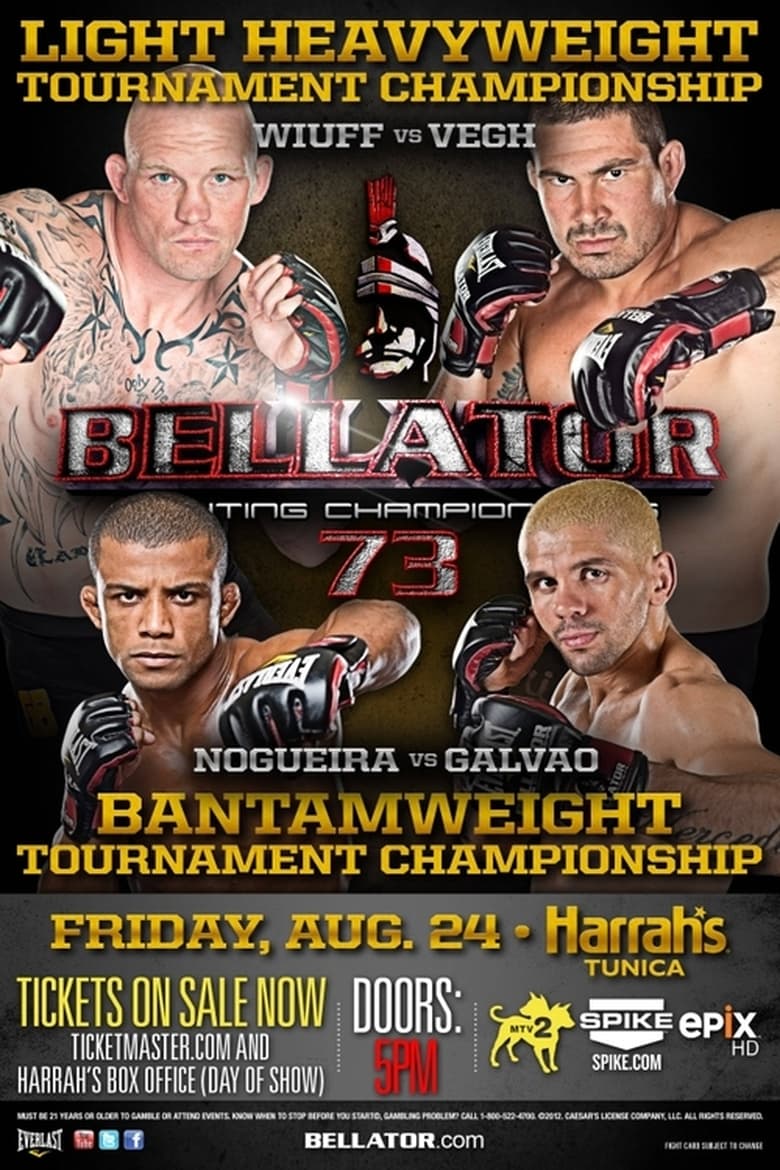 Poster of Bellator 73