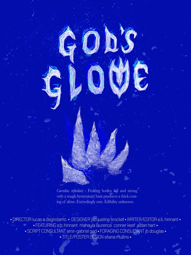 Poster of God's Glove