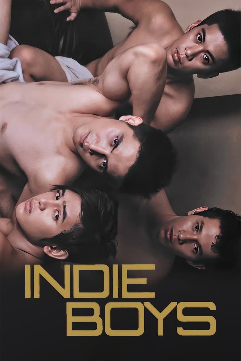 Poster of Indie Boys