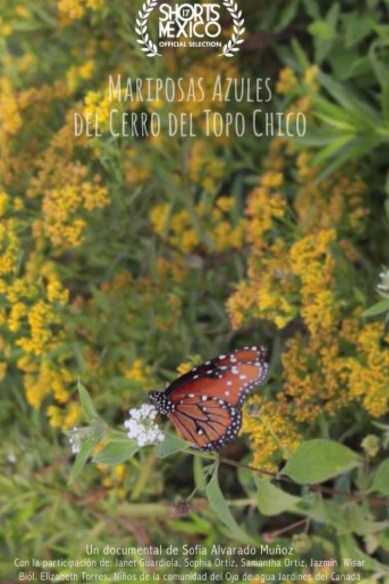 Poster of Mariposas Azules Del Cerro Del Topo Chico