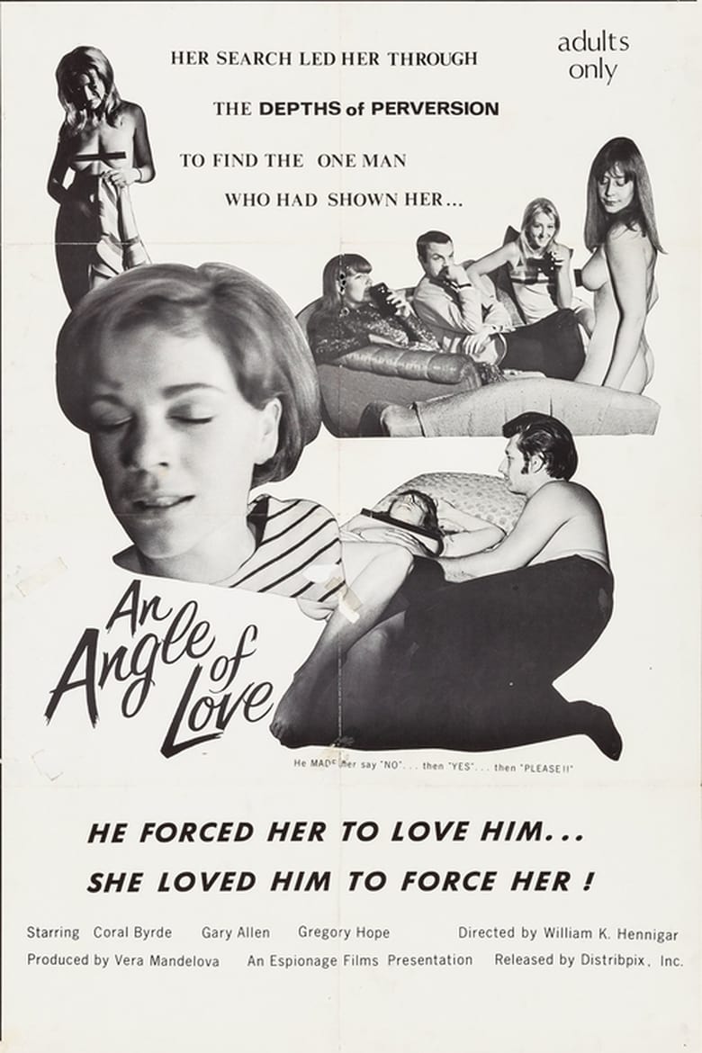 Poster of An Angle of Love