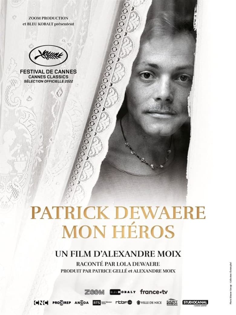 Poster of Patrick Dewaere, My Hero