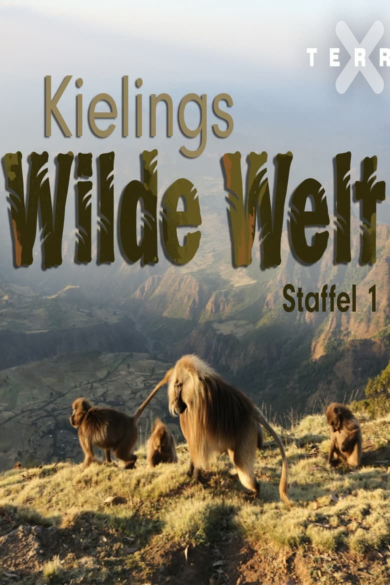 Poster of Kielings wilde Welt