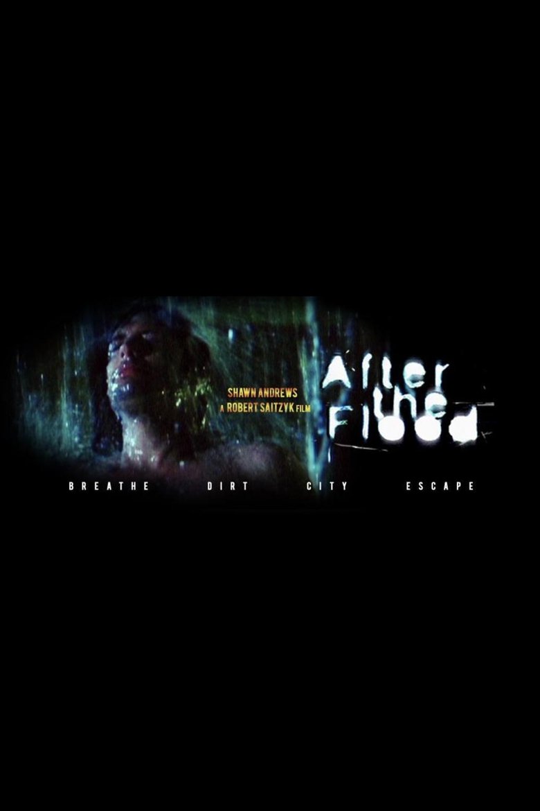 Poster of After the Flood