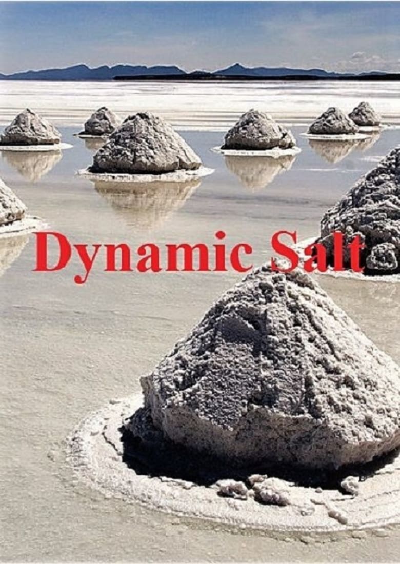 Poster of Dynamic Salt