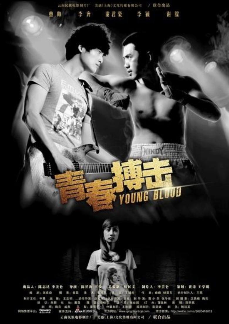 Poster of 青春搏击