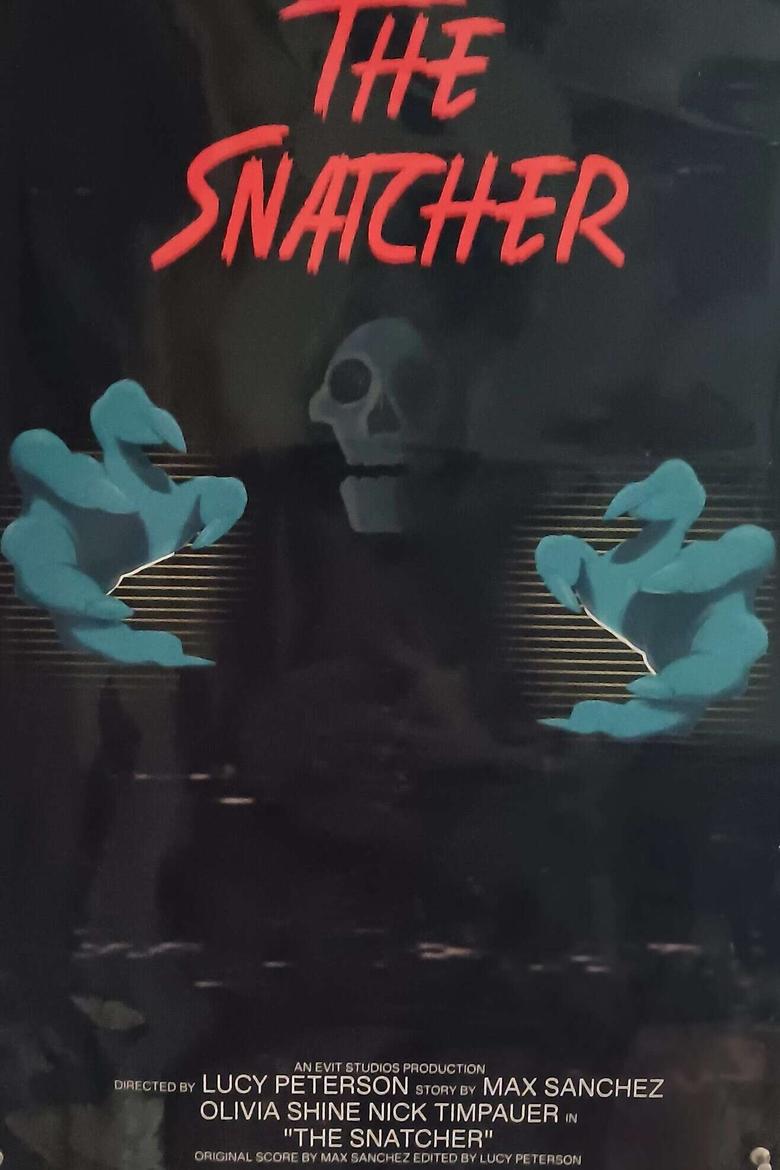 Poster of The Snatcher