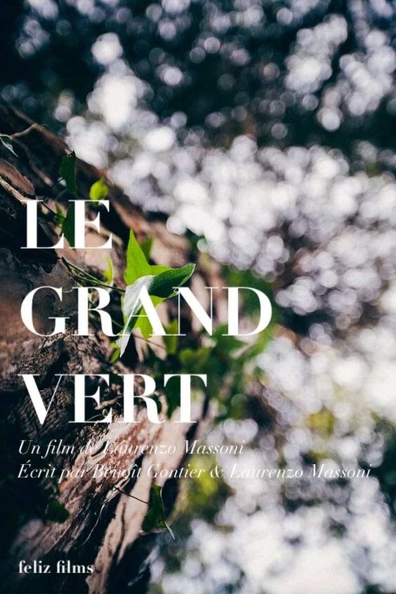 Poster of Le grand vert