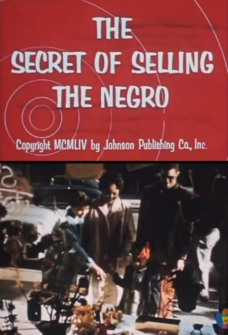 Poster of The Secret of Selling the Negro