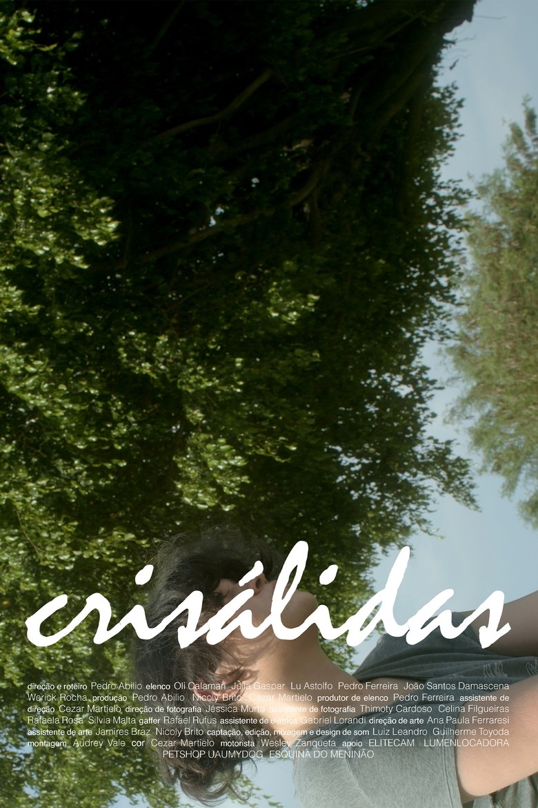 Poster of Crisálidas