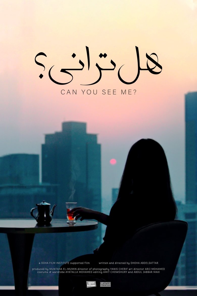 Poster of Can You See Me?
