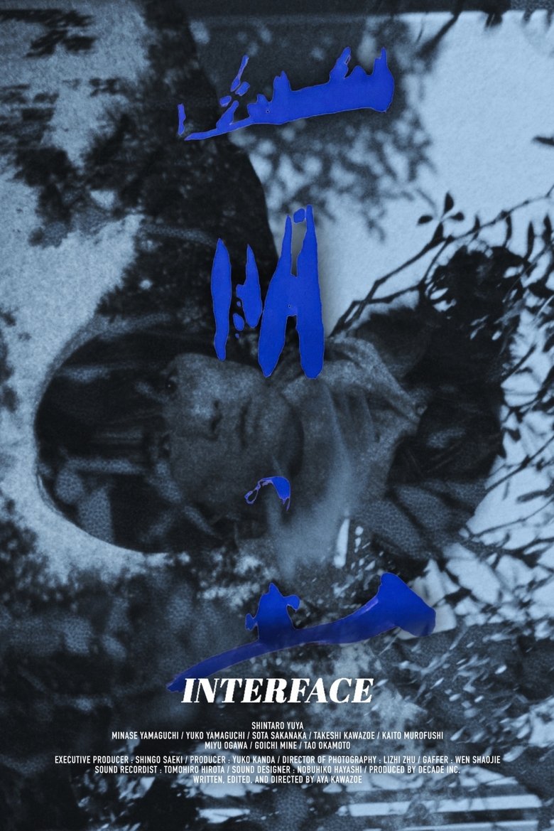 Poster of INTERFACE