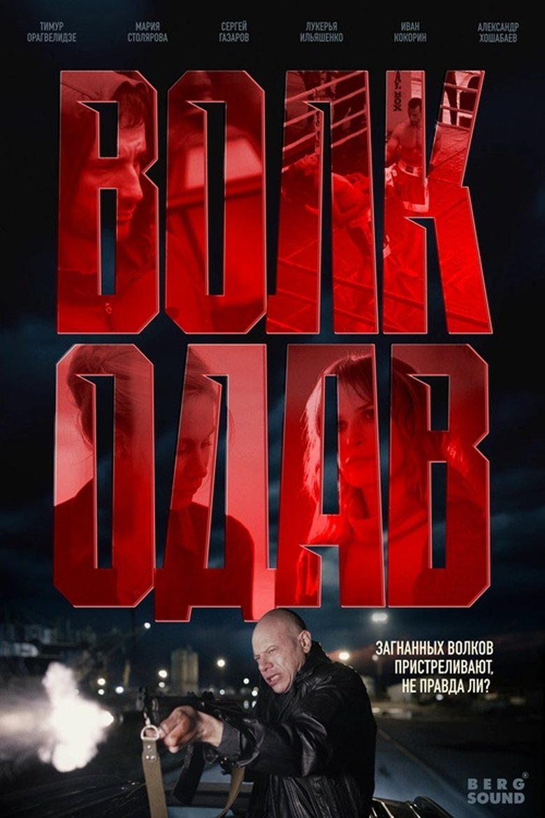 Poster of Волкодав