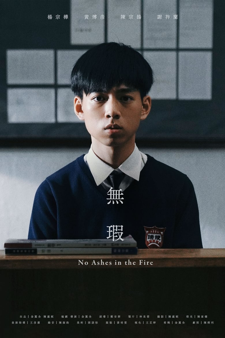 Poster of No Ashes in the Fire