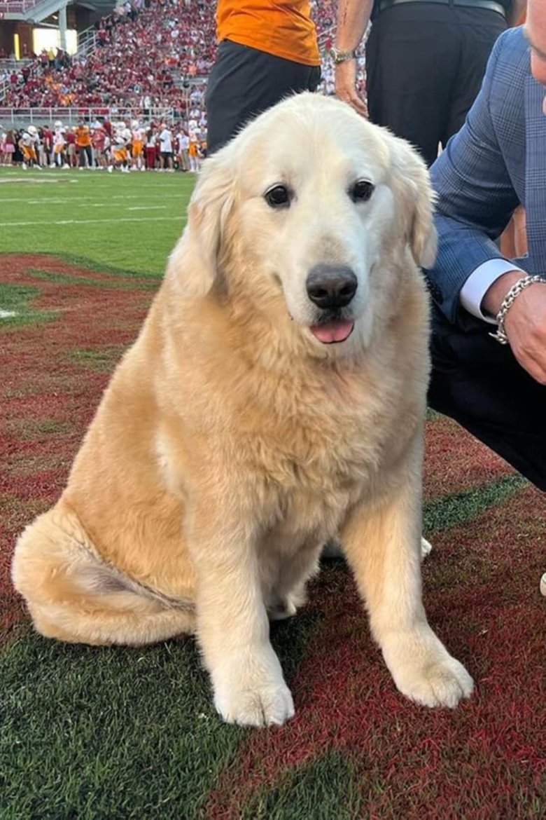 Portrait of Ben Herbstreit