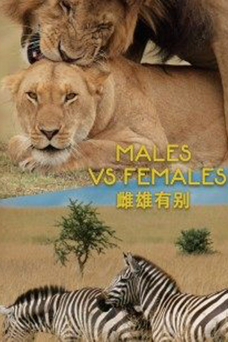 Poster of Males VS Females