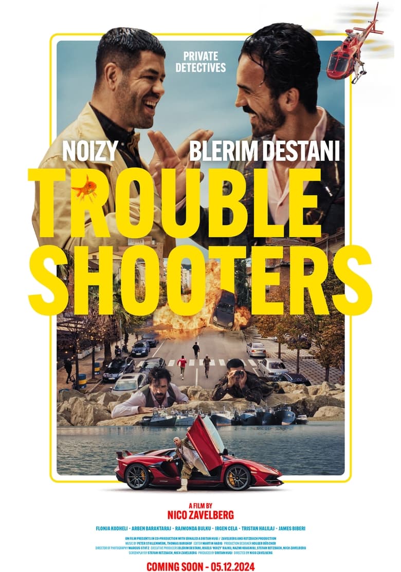 Poster of Troubleshooters