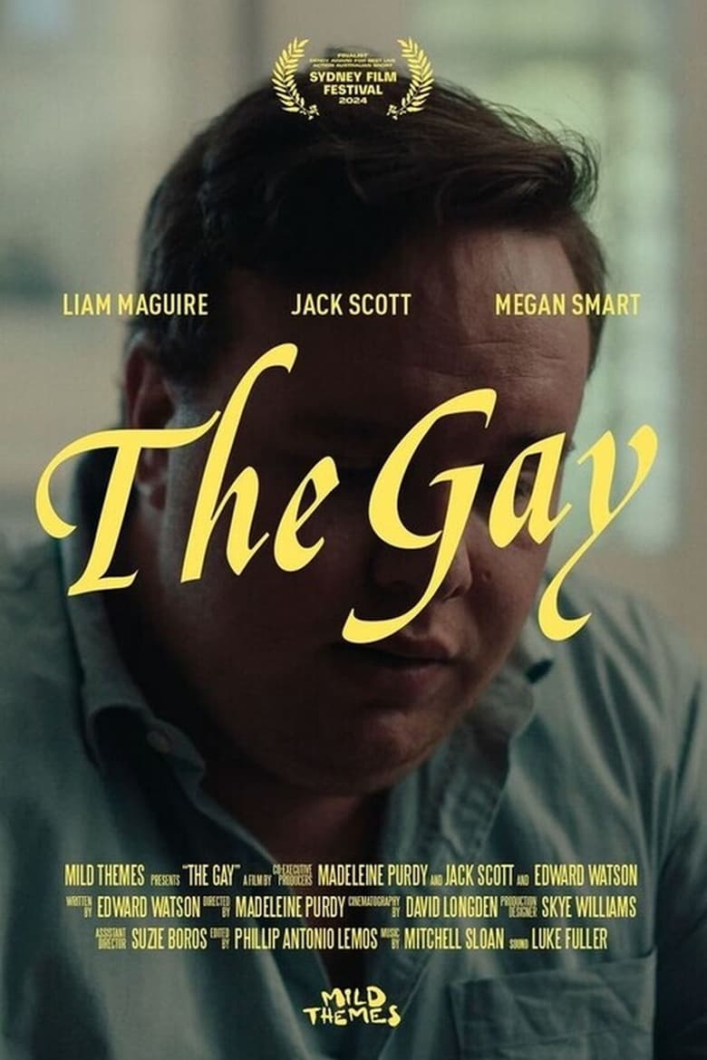 Poster of The Gay