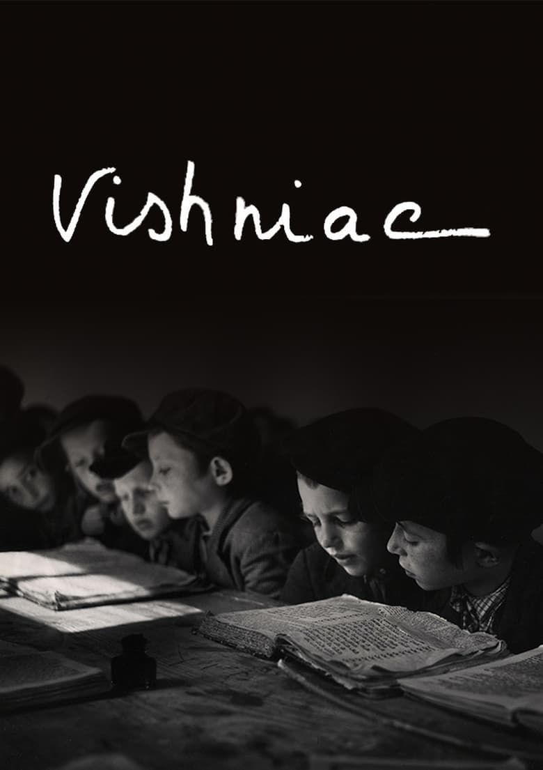 Poster of Vishniac