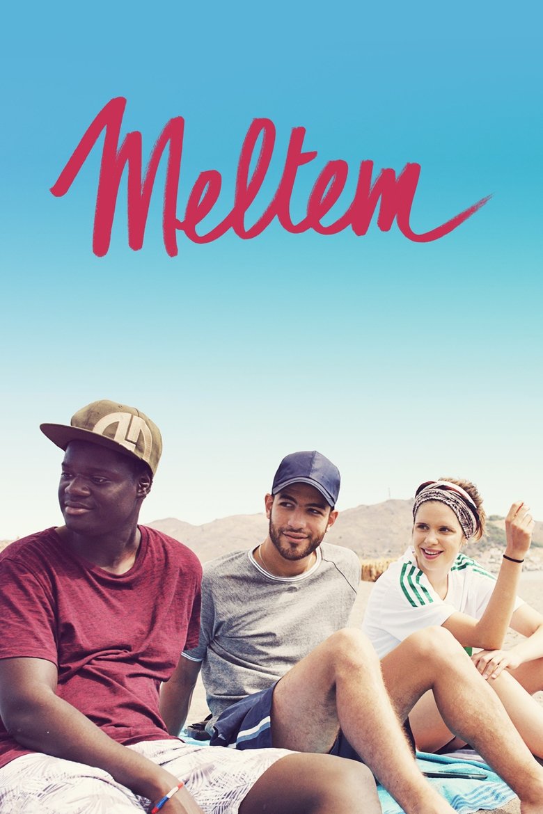 Poster of Meltem
