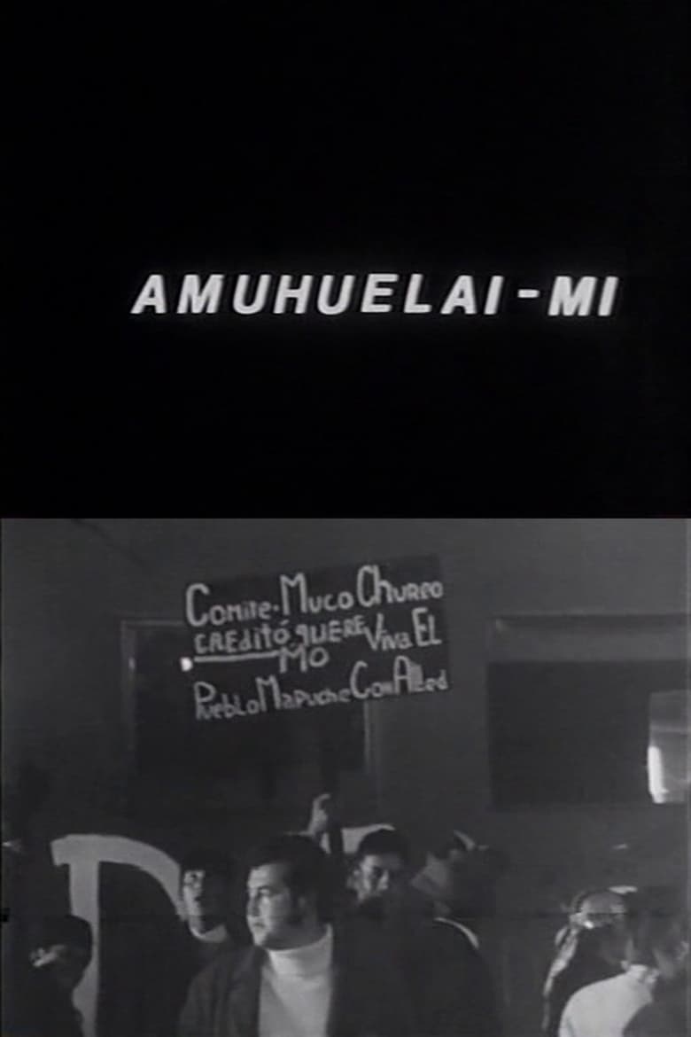 Poster of Amuhuelai-mi