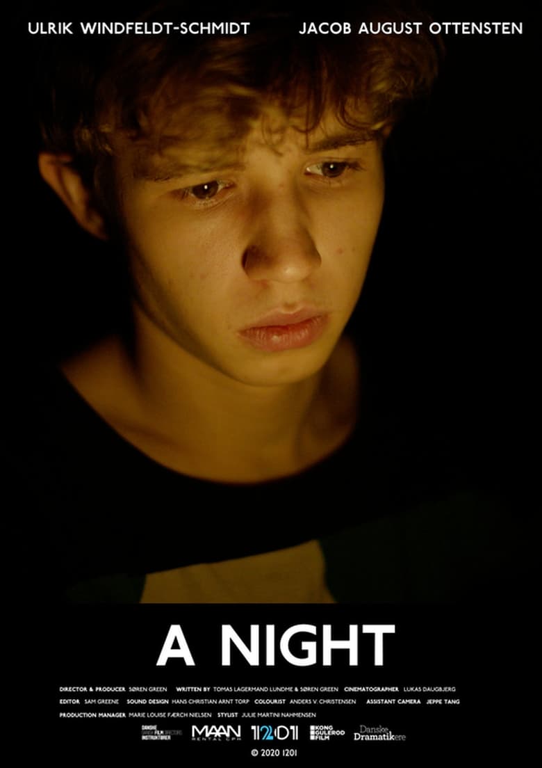 Poster of A Night