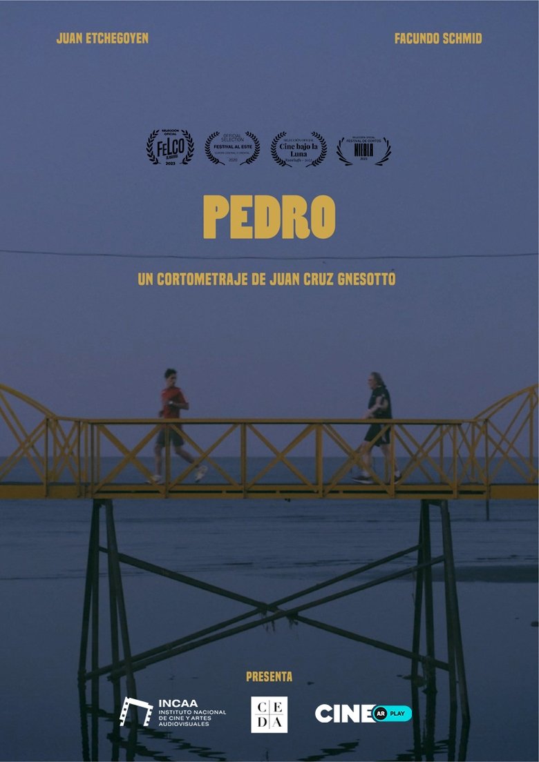 Poster of Pedro