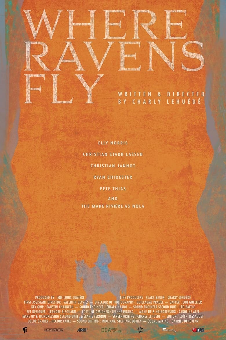 Poster of Where Ravens Fly