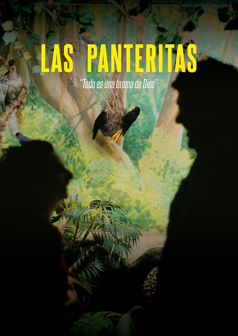 Poster of The Little Panthers