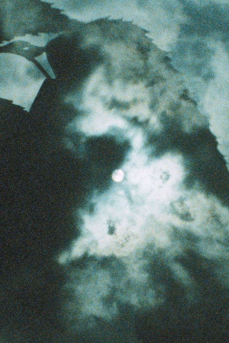 Poster of Shadow Stepping