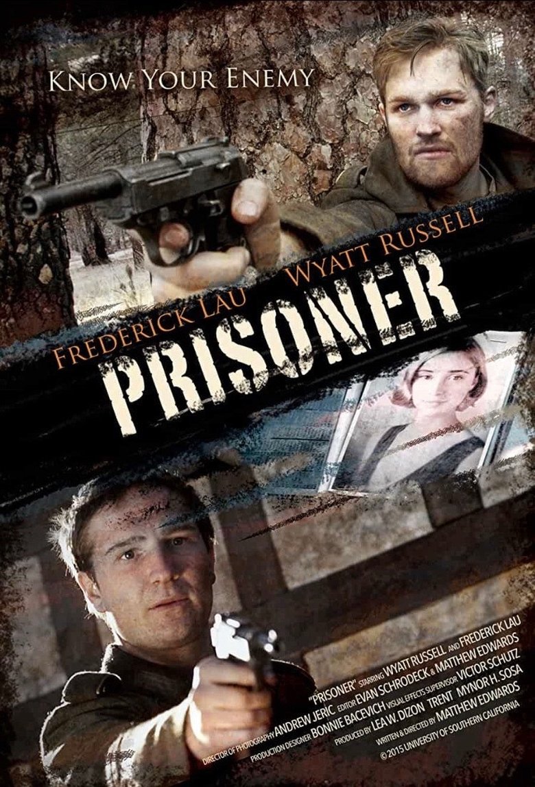 Poster of Prisoner