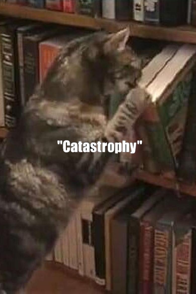 Poster of Catastrophy