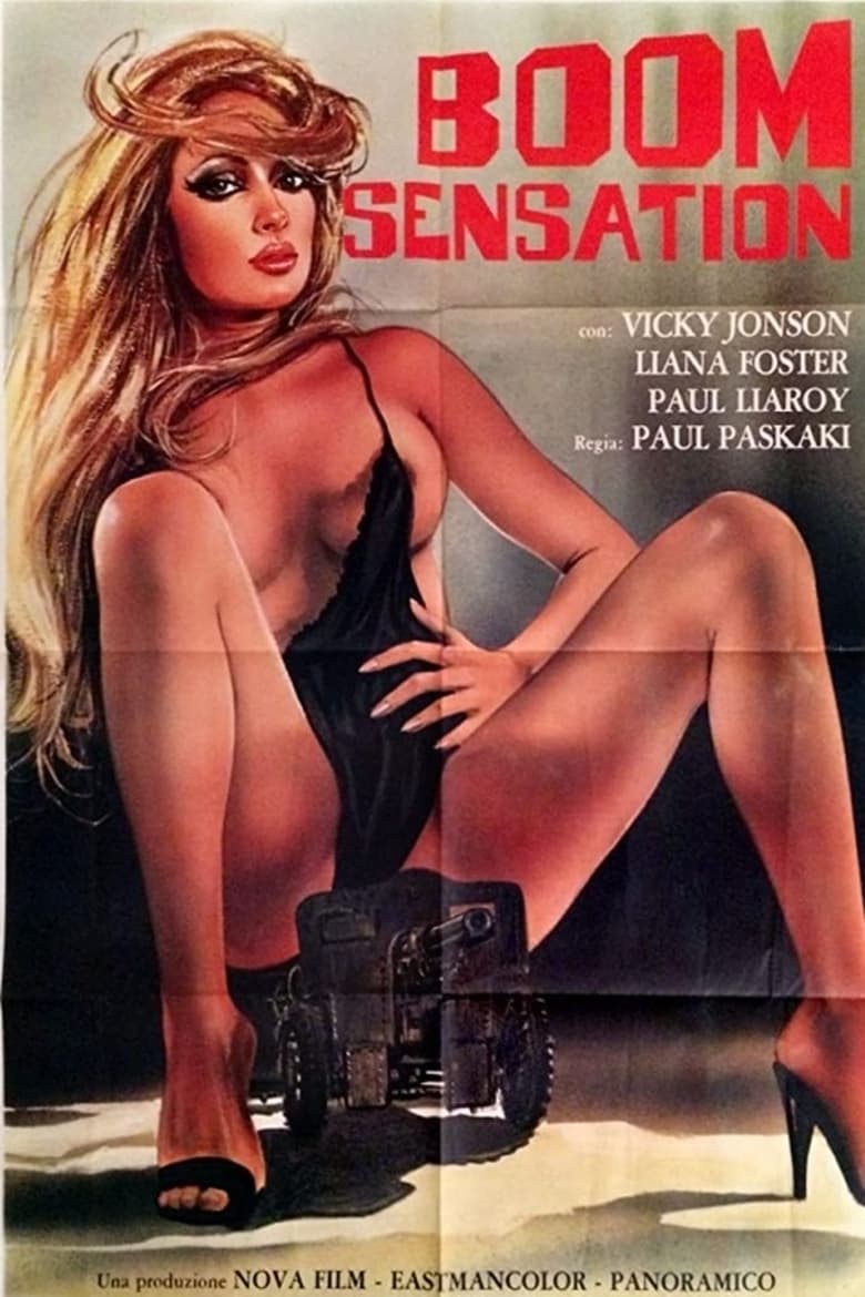 Poster of Boom Sensation