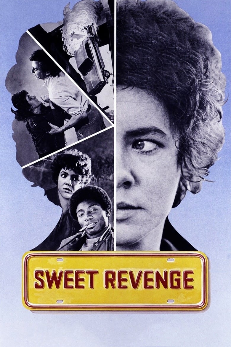 Poster of Sweet Revenge