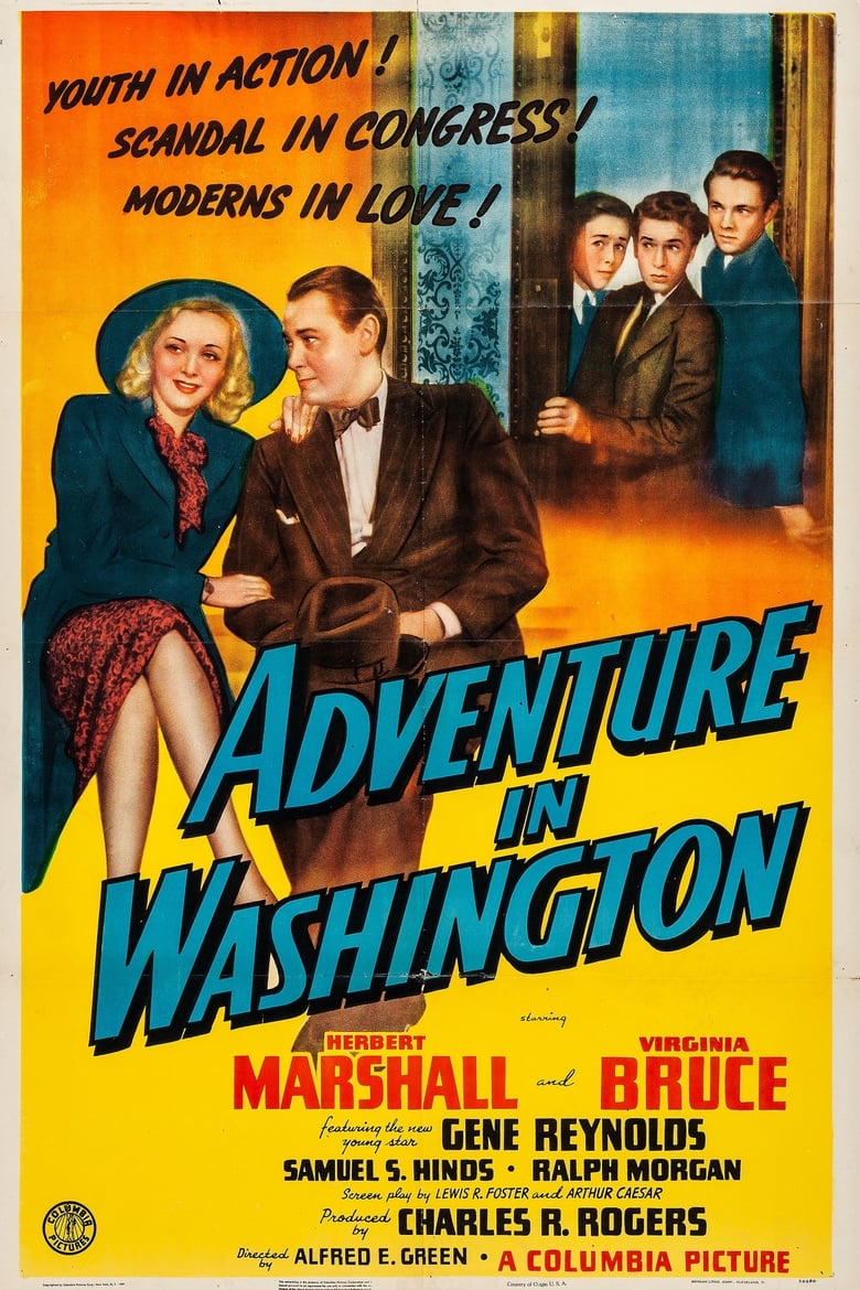 Poster of Adventure in Washington