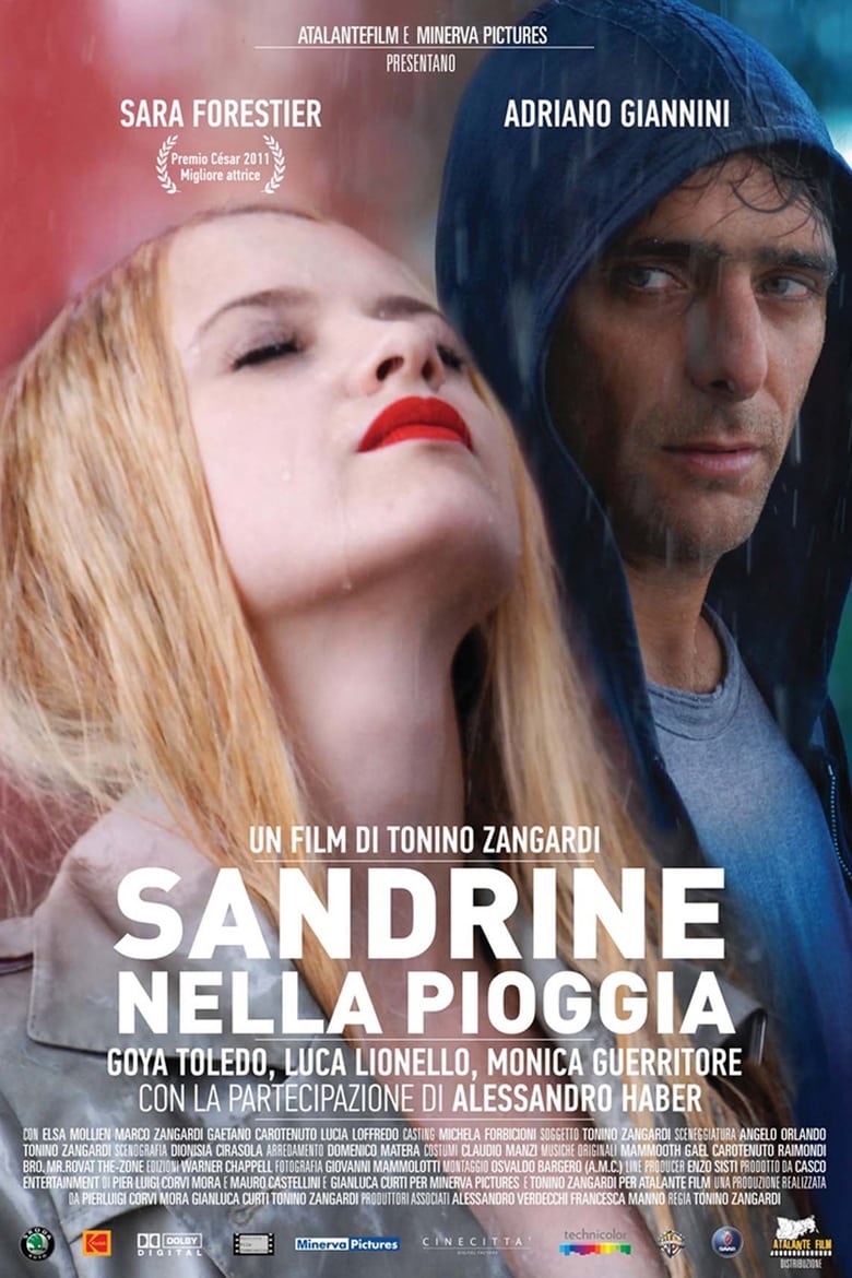 Poster of Sandrine in the Rain