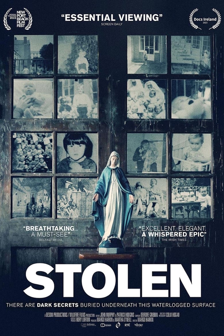 Poster of Stolen