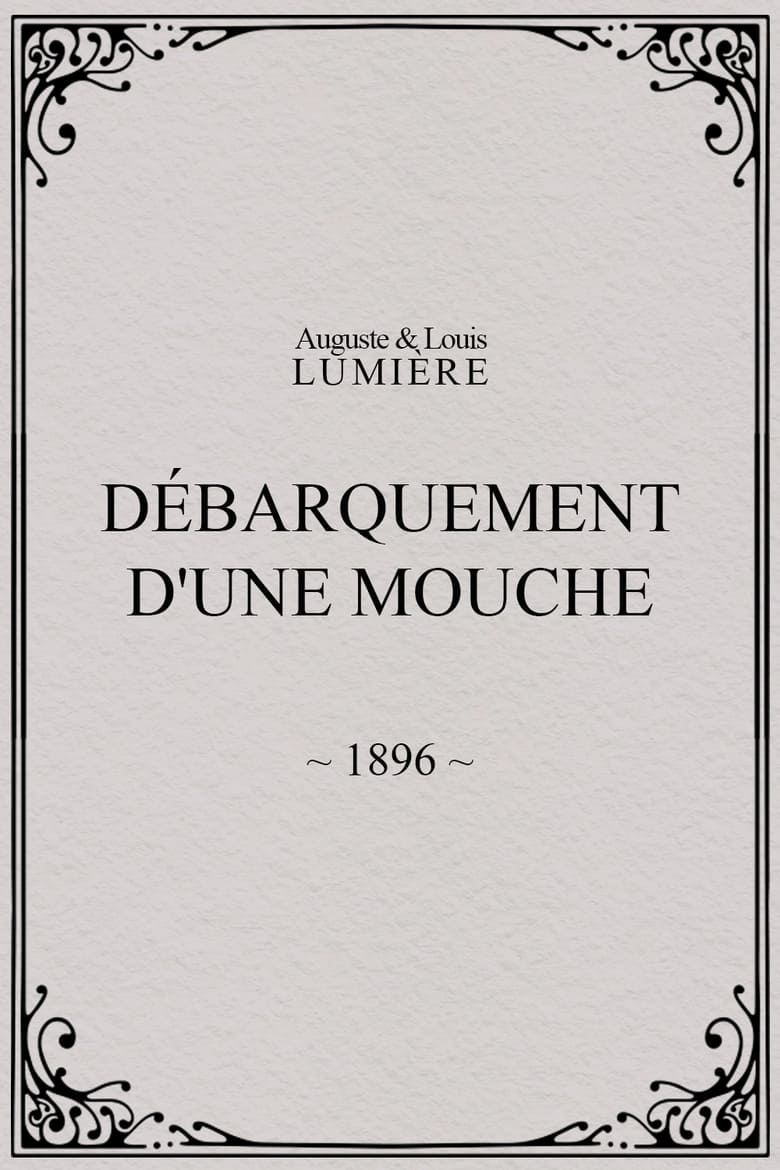 Poster of Lyon: Débarquement d'une mouche