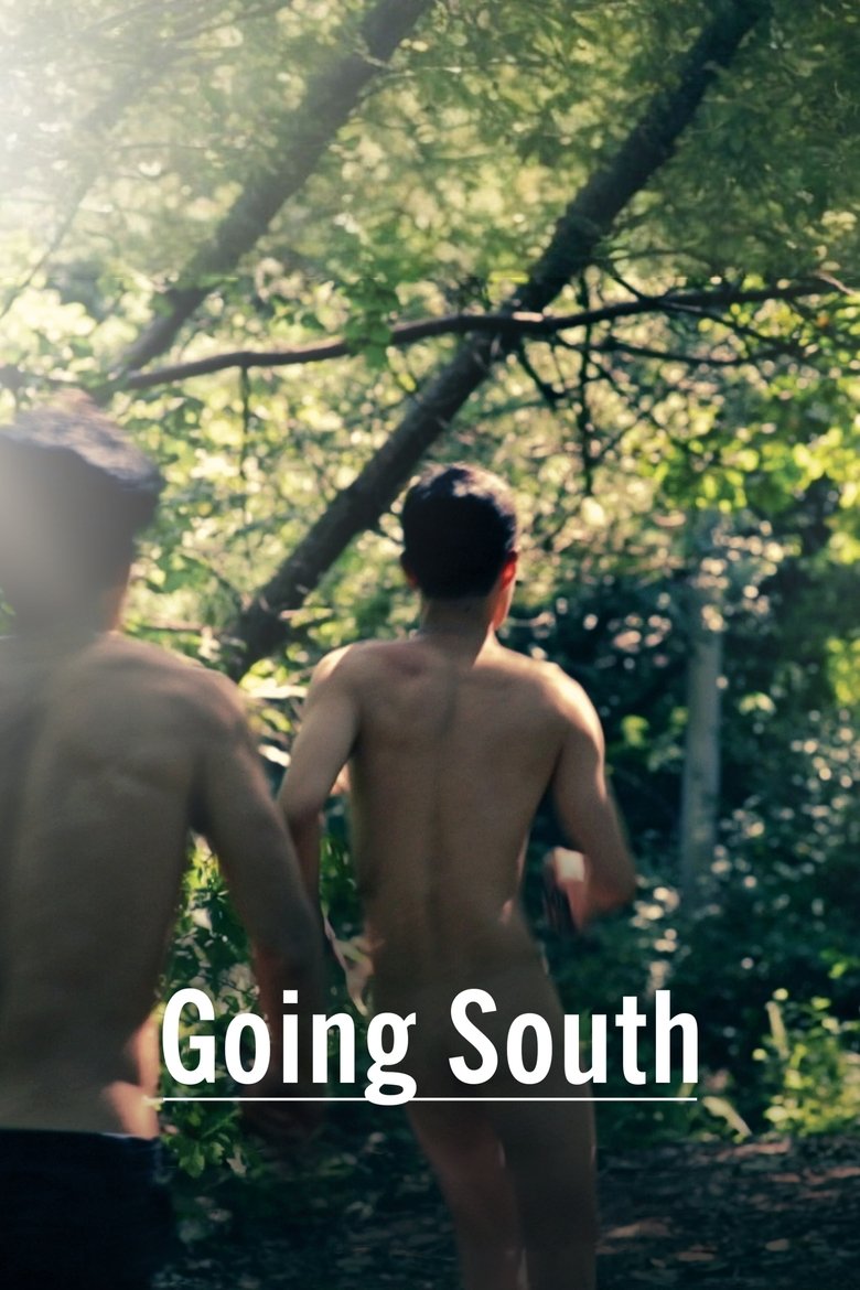 Poster of Going South