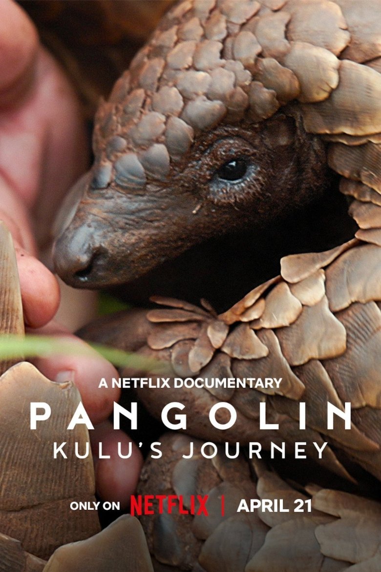 Poster of Pangolin: Kulu's Journey